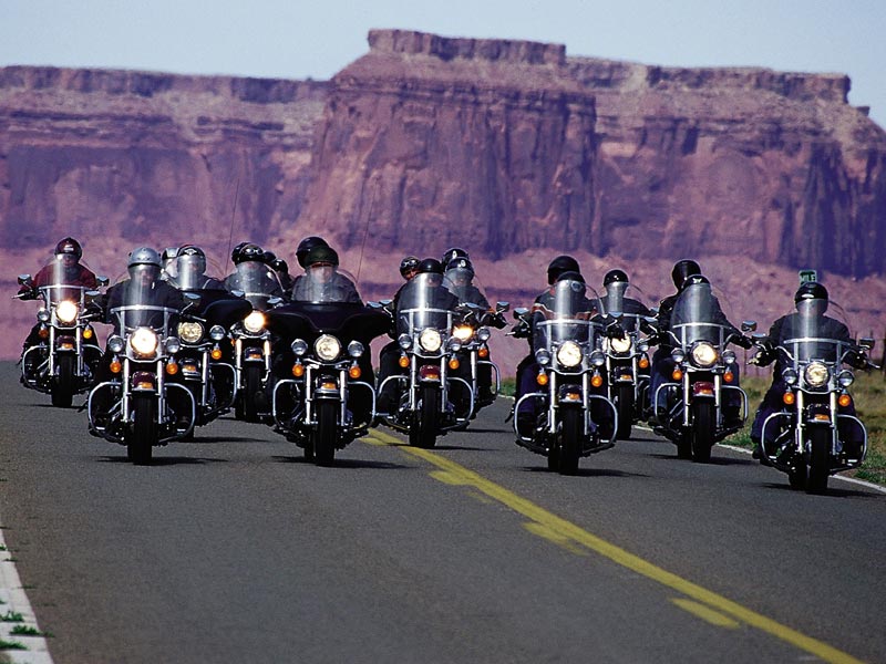 T shirt Harley Davidson Motorcycle Colorado, USA Taille