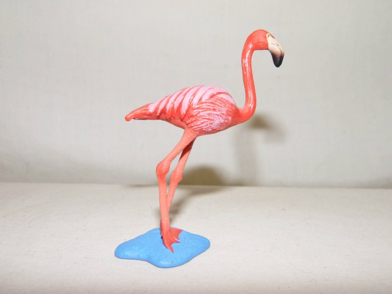 Safari Bird Bundle Toy Animal Sauvage Lot de 12 nouveau perroquet perruche Flamingo 