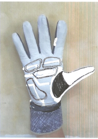 gloves12.jpg