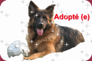 adopta11.gif