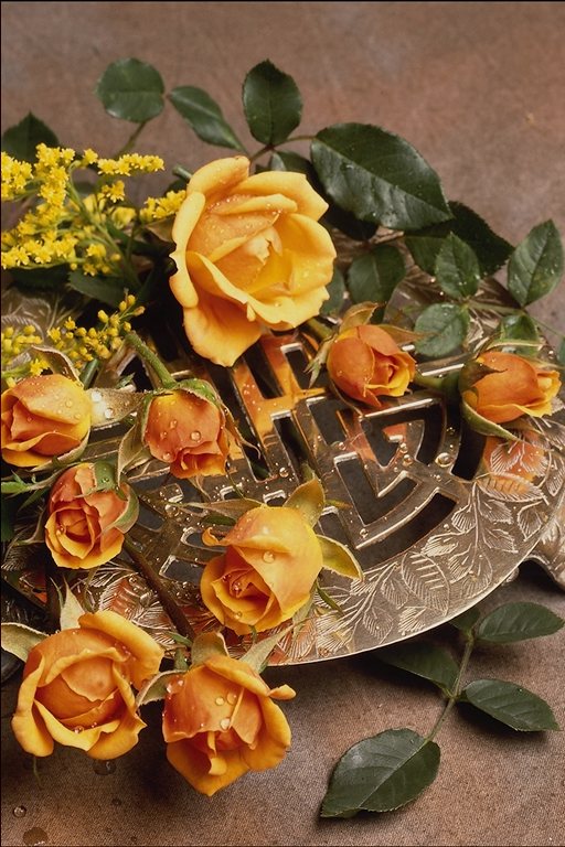Ответ на красивое видео. Жёлтые розы счастья. Жёлтые розы креативные. Жёлтые розы к чему дарят. Желтые розы для неё.