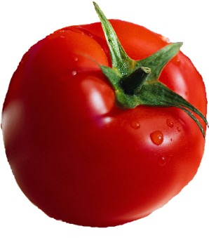 tomato10.jpg
