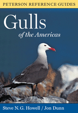 gulls10.gif