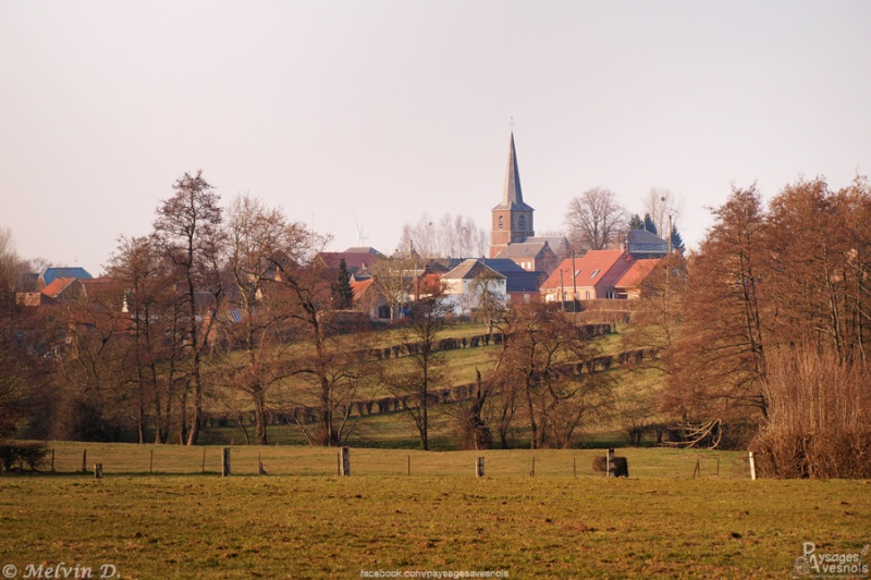 Salesches p3167110