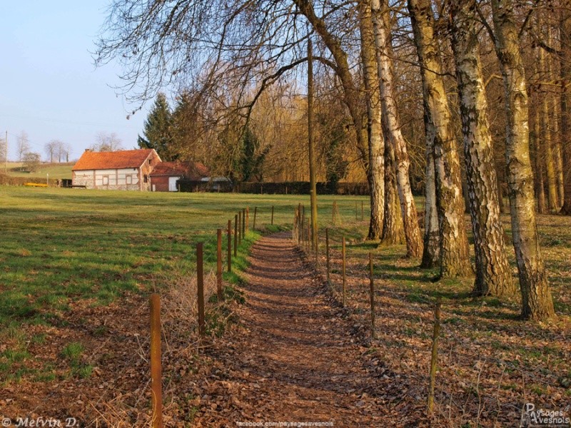 p3167114