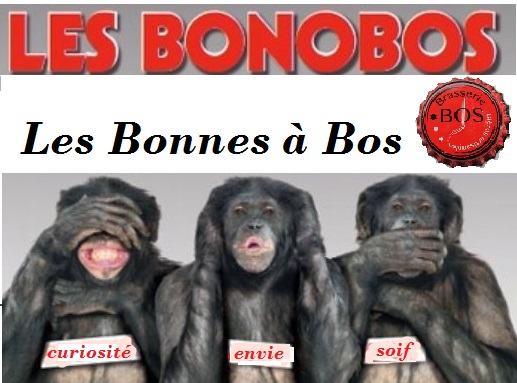 bonobo11.jpg