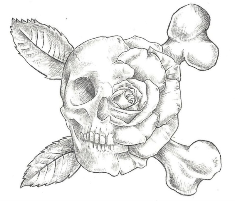 skull_11.jpg