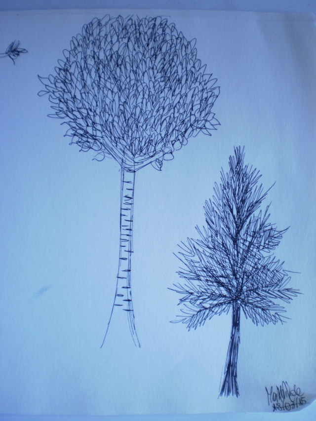 arbres10.jpg