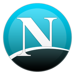 netsca10.png