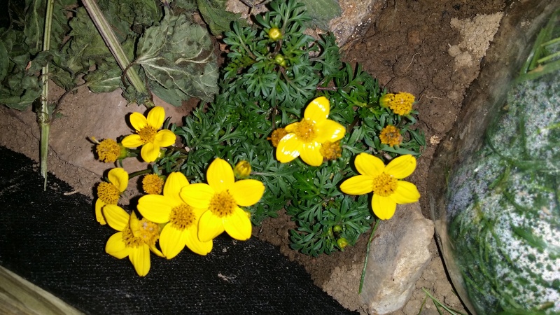 20150411.jpg